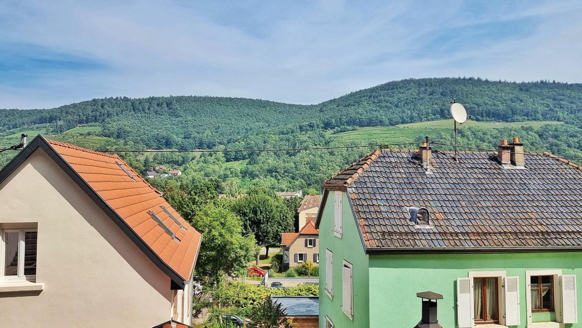 La Buhl Verte - Chic Et Moderne - Calme - Fibre - Relax Bnb المظهر الخارجي الصورة