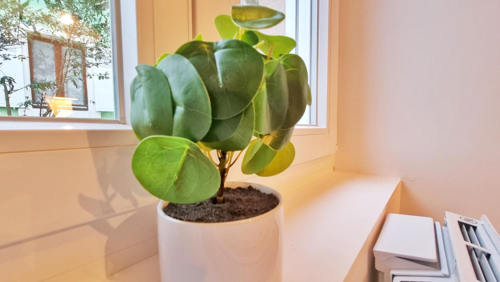 La Buhl Verte - Chic Et Moderne - Calme - Fibre - Relax Bnb المظهر الخارجي الصورة